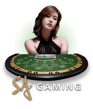 DB33 Live Casino